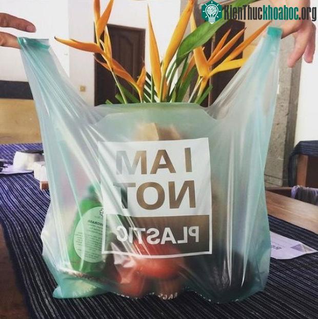 Đây là một chiếc túi nhựa 100% thân thiện với môi trường.