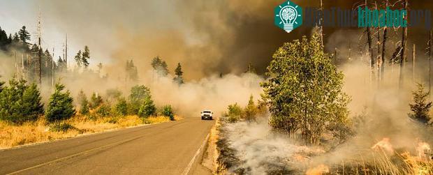 Thủ phạm chính khiến Trái đất nóng lên chính là lượng khí CO 2 (carbon dioxide) ngày tăng cao.