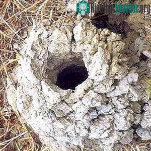 Hang cua xe tăng có thể sâu đến 2m.