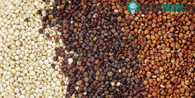 Có hơn 100 loại hạt quinoa trên thế giới, nhưng phổ biến nhất là hạt quinoa đỏ, đen và trắng.