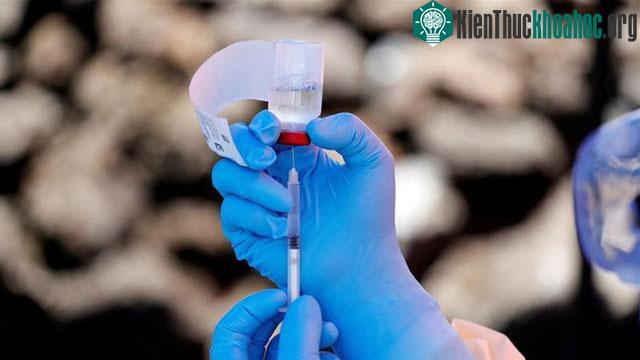 Đột phá: Các nhà khoa học tuyên bố đã chữa được Ebola ảnh 1