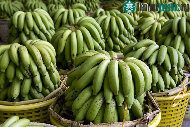 Với nhiều người dân châu Mỹ Latin, chuối được xem là một loại lương thực cơ bản, nguồn dinh dưỡng giá trị trong đời sống hàng ngày.