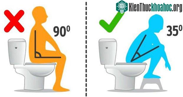 Tư thế ngồi thông thường không đem lại hiệu quả bằng tư thế ngồi xổm.