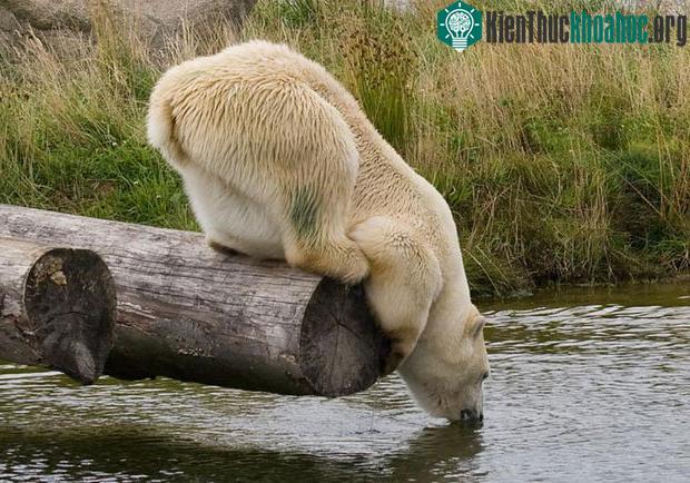 Bạn nghĩ đây là nước sạch? Chưa chắc!