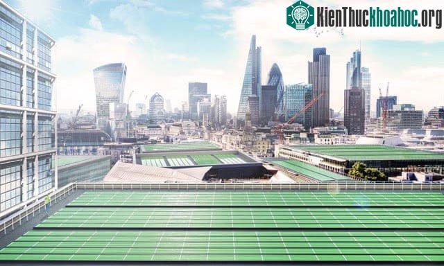 Các mái nhà được phủ bằng lá quang sinh học công nghệ BioSolar Leaf.