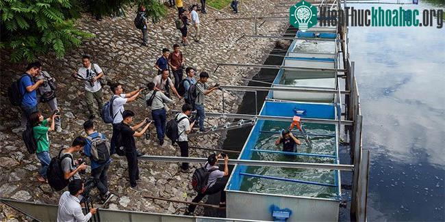 Ông Jun Kubo trực tiếp xuống bể nước đã qua xử lý trước sự chứng kiến của hàng trăm người.