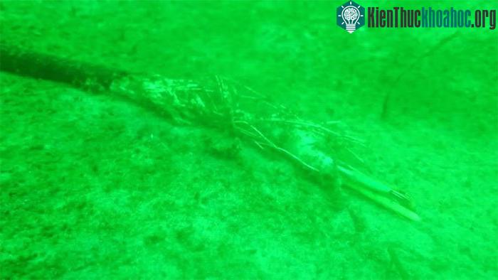 Đài quan sát 332.000 USD biến mất dưới đáy biển Baltic ảnh 1