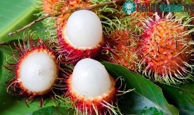5 nhóm người không nên ăn chôm chôm kẻo sinh bệnh, rước họa vào thân ảnh 1