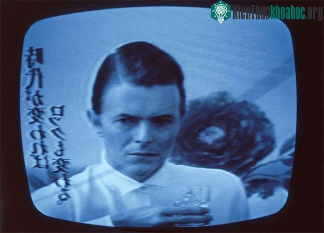 Siêu sao David Bowie trong một đoạn quảng cáo cho nhãn hiệu rượu sake Jun Rock vào năm 1980.