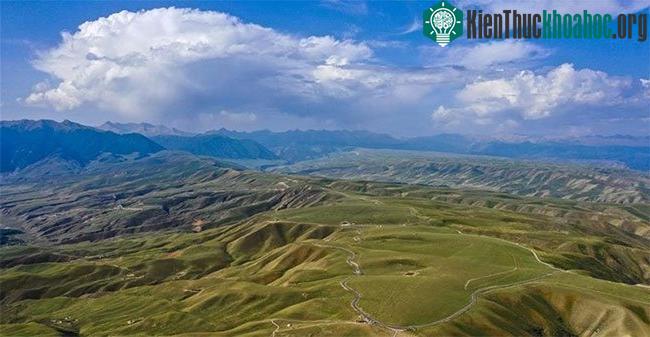 Mê mẩn với đồng cỏ đẹp như tranh tại Tân Cương ảnh 11