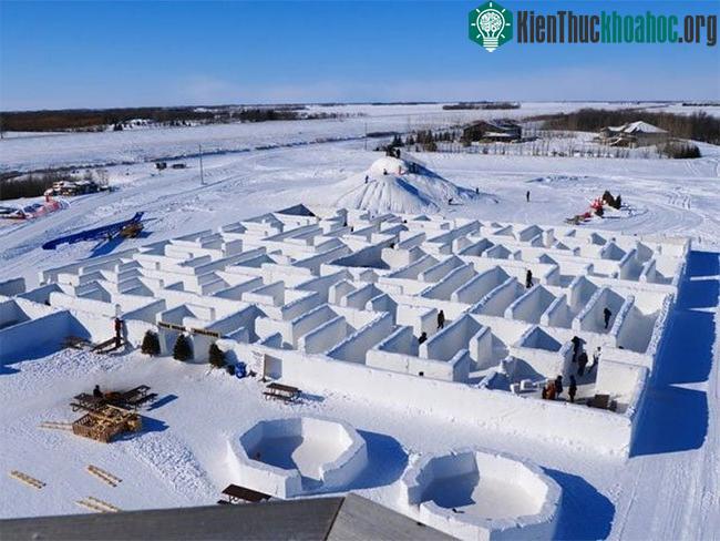 Ma trận tuyết lớn nhất thế giới mới được xác lập kỷ lục ở Canada hồi đầu năm 2019