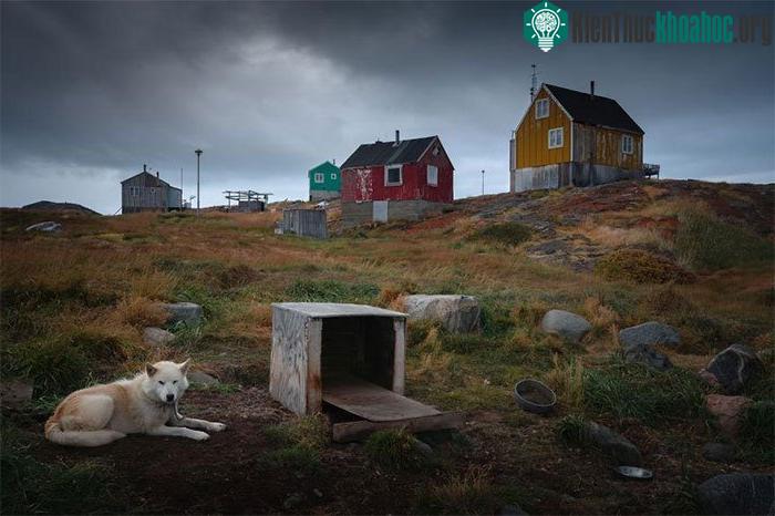 Khu định cư Rodebay, cách thị trấn Ilulissat khoảng 2 giờ đi thuyền.