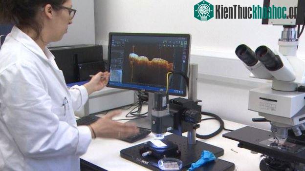 Cảm biến thông minh biết "nghe" vết thương đang lành ảnh 2