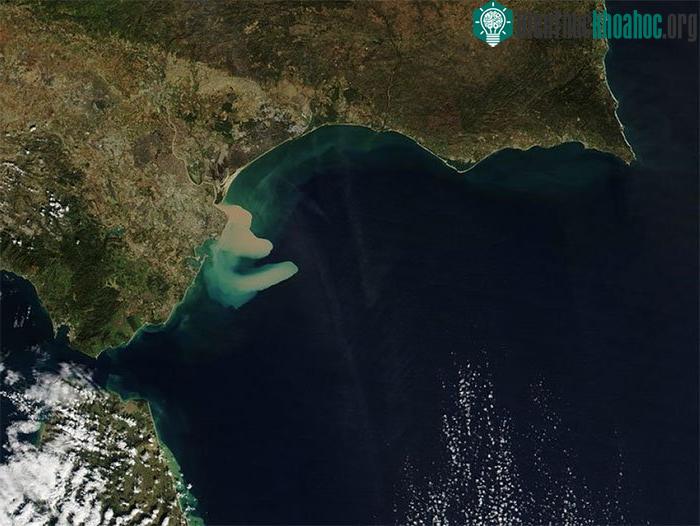 Trầm tích dọc bờ biển Vịnh Cádiz, Tây Ban Nha.