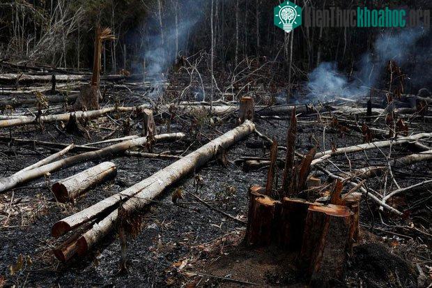 Cháy ở Novo Airao - cũng thuộc bang Amazonas - hôm 21/8