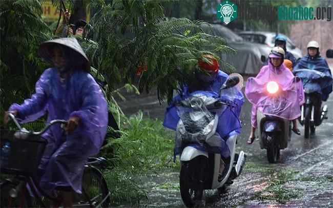 Người đi xe máy phải lách qua chướng ngại vật để tham gia lưu thông.
