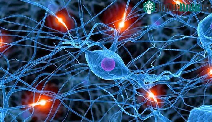 Các khoảng trống trong não bộ có thể đóng vai trò rất quan trọng mà chúng ta chưa hiểu hết. (Ảnh: Itsastrangeworld).
