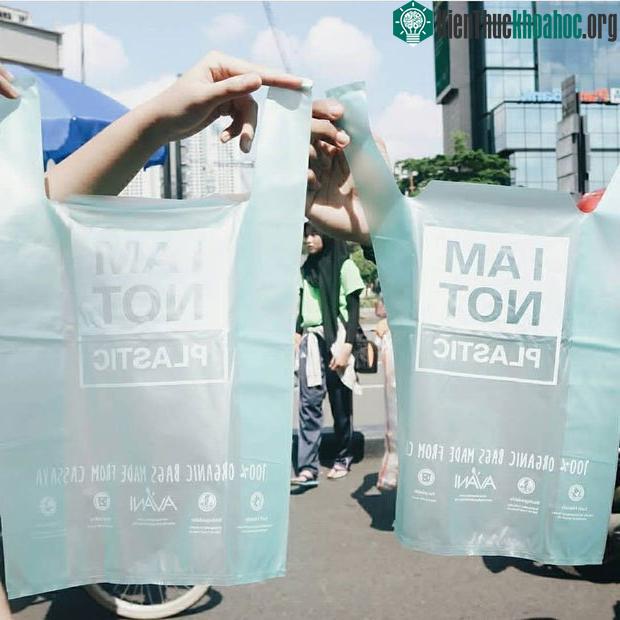 Chiếc túi này bền, giá thành phải chăng và quan trọng là có thể vứt bỏ mà không gây hại môi trường.