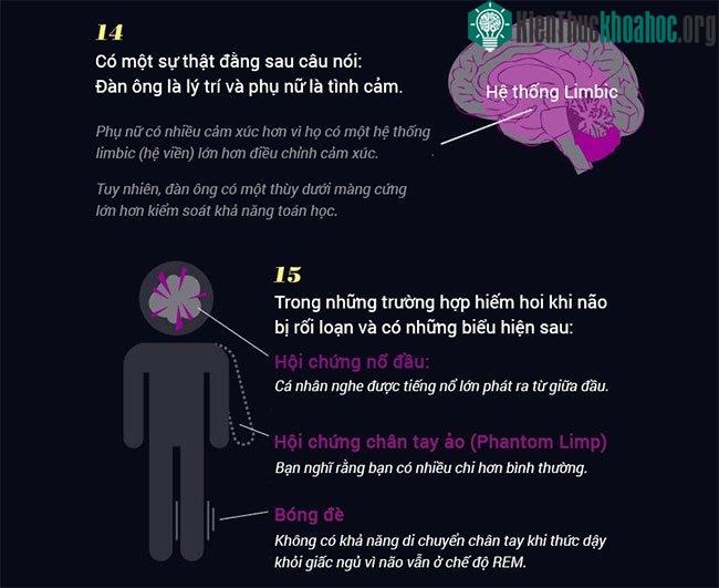 15 sự thật khó tin về não bộ