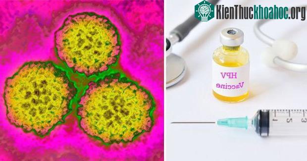 Vắc xin Gardasil ngừa HPV-16 và HPV-18.