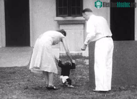 Gua có học được cách cầm thìa bằng tay và hiểu một chút ngôn ngữ của con người.