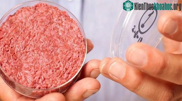 Thịt chay cũng là món thịt sạch (clean meat) đúng nghĩa.