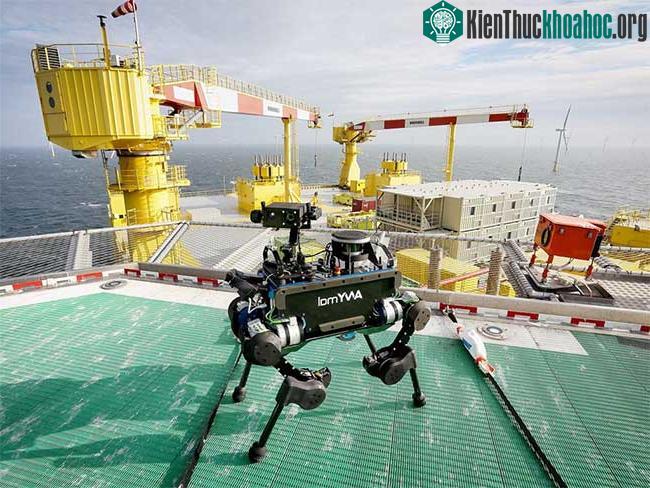 Robot ANYmal hiện được dùng để thăm dò khoáng sản. (Ảnh: The Verge).