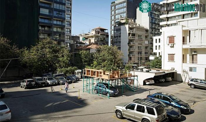 Urban Hives