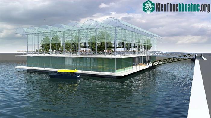 Trang trại nổi Rotterdam