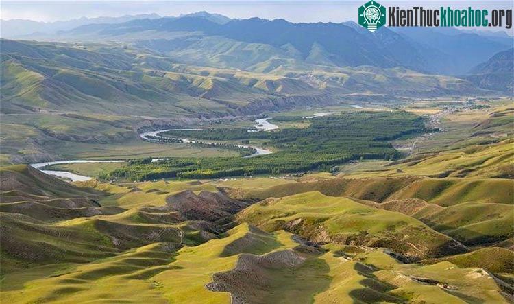 Một ốc đảo trù phú giữa thảo nguyên bao la.