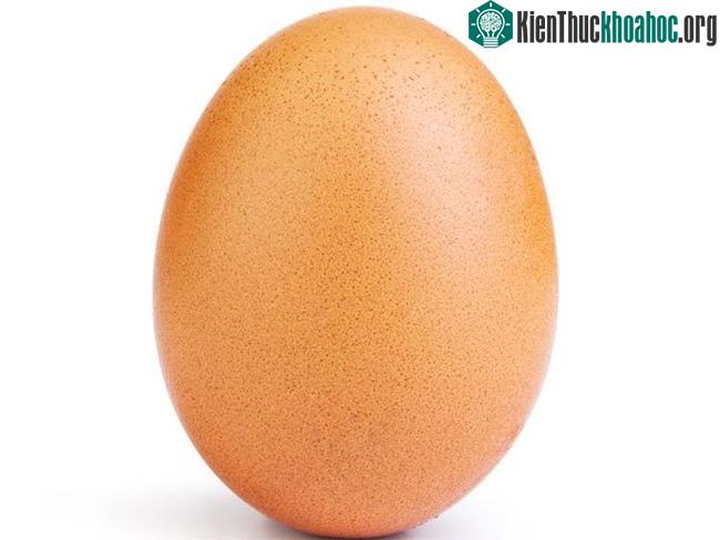 Bức ảnh được đặt tên "quả trứng kỷ lục thế giới".