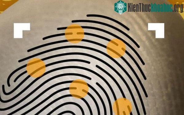 Chỉ cần dấu vân tay bám trên thành cốc là quá đủ để hacker bẻ khóa smartphone của bạn rồi.
