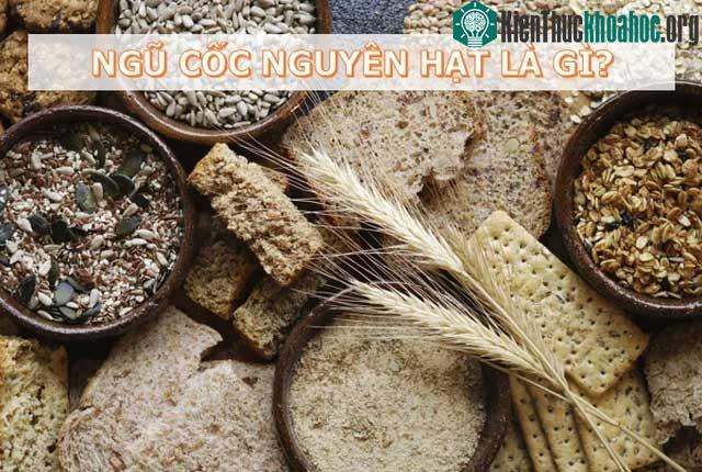 Ngũ cốc nguyên hạt là loại hạt chỉ loại bỏ lớp vỏ trấu bên ngoài.