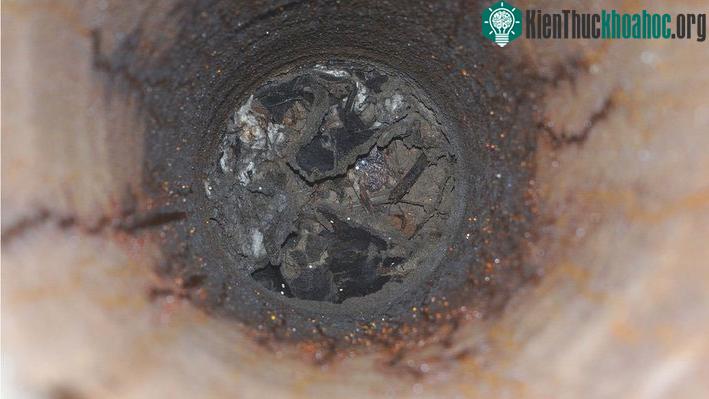 Đàn kiến bị cô lập trong boongke bỏ hoang.