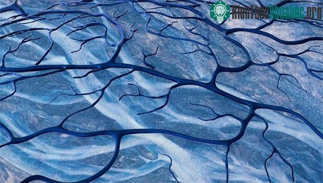 Hệ thống làm mát mới mô phỏng hệ tuần hoàn của con người.