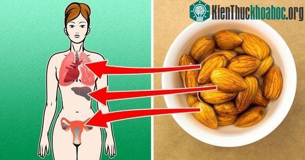 Ăn hạnh nhân mỗi ngày giúp người bị tiểu đường tuýp 2 cải thiện thể chất.