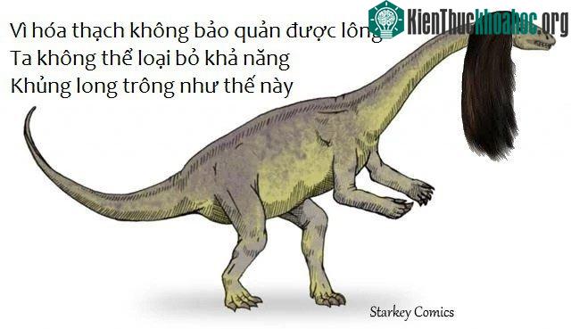 Vì hóa thạch không bảo quản được lông, ta không thể loại bỏ khả năng khủng long trong như thế này