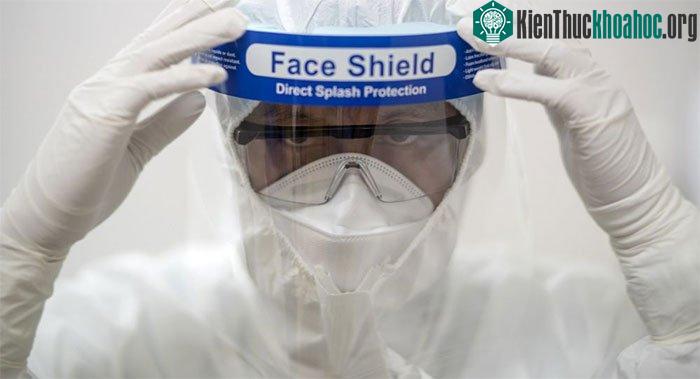 Tế bào lympho biến đổi gene sẽ giúp bảo vệ trước vũ khí sinh học.