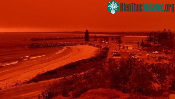 Bầu trời hóa màu đỏ do cháy rừng ở thị trấn Port Macquarie, bang New South Wales của Úc