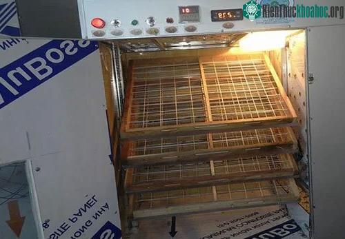 Máy ấp trứng công suất 700 trứng cho một lần ấp. (Ảnh: NVCC).
