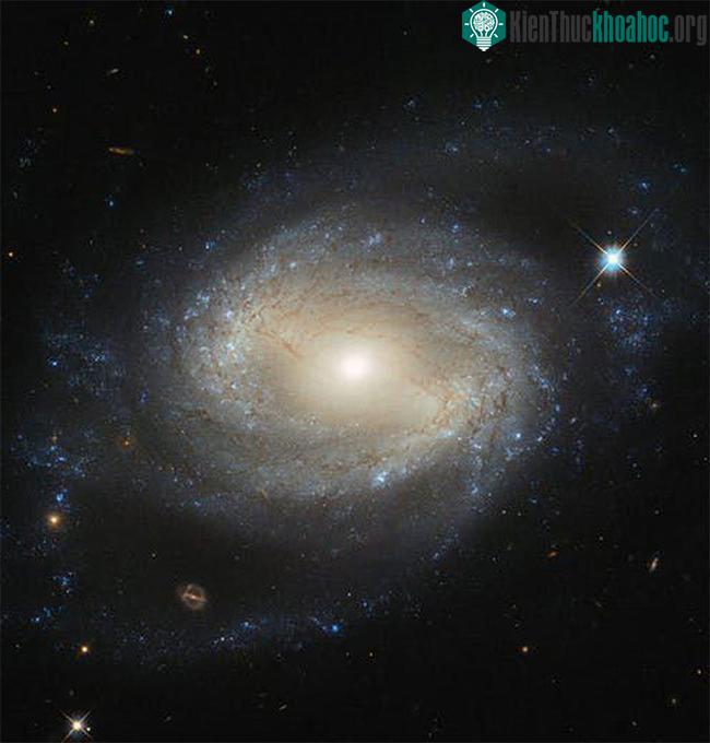 Các cụm thiên hà là môi trường rộng lớn và cực đoan nhất trong vũ trụ. (Nguồn ảnh: Space).
