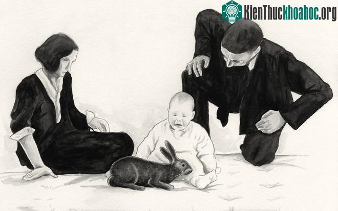 Bé trai chín tháng tuổi Albert đã tham gia thí nghiệm.