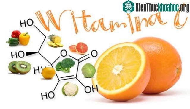 Vitamin C (Axit ascorbic) có tác dụng quan trọng đối với xương và mô liên kết, cơ bắp và các mạch máu.