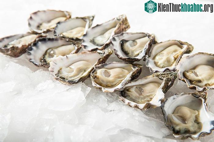 Hàu từng là món ăn đường phố rẻ tiền tại nhiều nước Châu Âu. (Nguồn: BI).