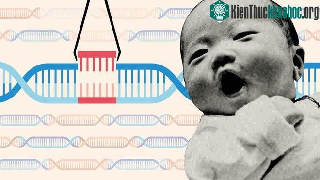 Nghiên cứu dự đoán hai bé gái chỉnh sửa gene sẽ chết sớm vừa bị rút lại, kết quả không đáng tin cậy ảnh 0