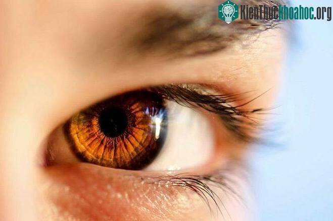 Dấu hiệu độc nhất của mỗi người ảnh 0