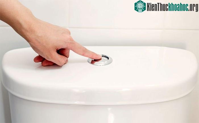 Với lớp sơn phủ này, bồn cầu sẽ tiết kiệm đáng kể lượng nước mỗi lần xả.