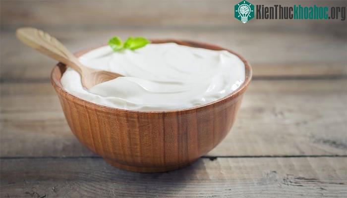 Nguy cơ ung thư phổi giảm mạnh đến từ prebiotic có trong sữa chua.