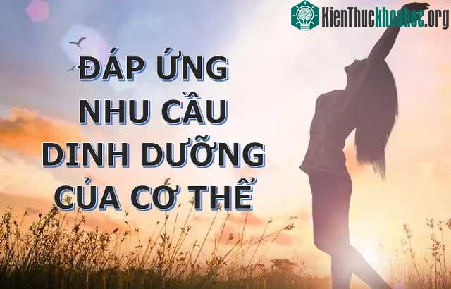 Ngũ cốc nguyên hạt đáp ứng được nhu cầu dinh dưỡng của cơ thể