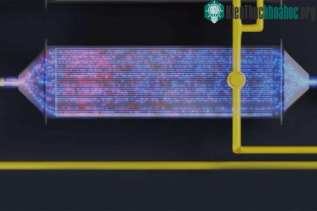 Việc chúng có hấp thụ CO2 không phụ thuộc hoàn toàn vào trạng thái sạc hay xả của pin.